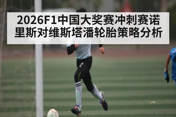 2026F1中国大奖赛冲刺赛诺里斯对维斯塔潘轮胎策略分析